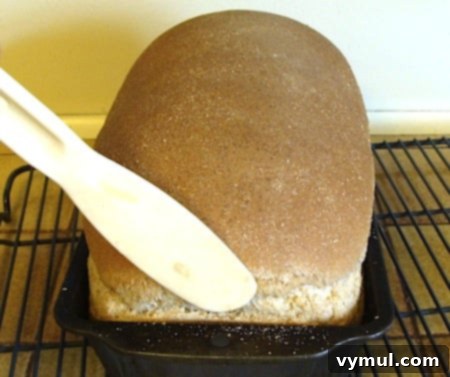 A freshly baked, golden-brown loaf of whole wheat sandwich bread being carefully removed from its pan with a flat spatula.
