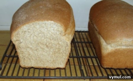 A freshly sliced loaf of soft whole wheat sandwich bread, showing its tender crumb and even texture.