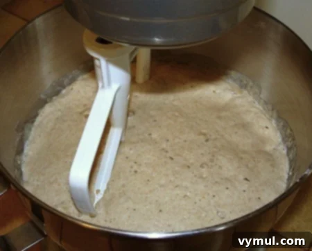 Whole wheat sandwich bread sponge rising in a mixer bowl, showing bubbles and active yeast, indicating readiness for the next steps.