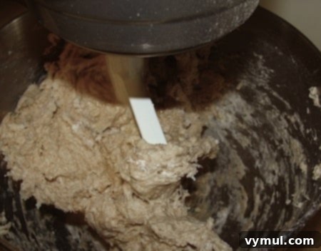 Partially mixed whole wheat bread dough in a stand mixer, showing a shaggy, uneven texture before full kneading.