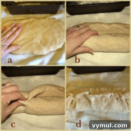 Step-by-step visual guide for shaping whole wheat bread dough: patting, gentle rolling, and pinching seams for a perfect loaf.