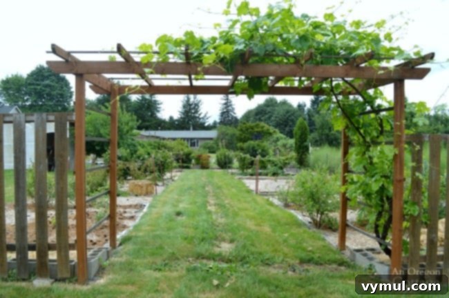 Ep. 4: Weed Woes, Plastic Wins, and Spice Rub Secrets 4 Weed killing with plastic and straw in berry patch