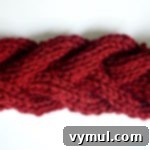 Craft Beautiful Cable Headbands: Free Printable Labels & Step-by-Step Tutorial 14 Knitted cable ear warmer headband detail
