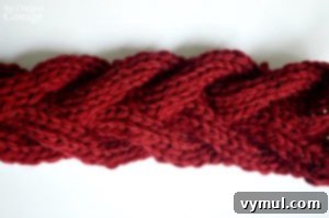 Craft Beautiful Cable Headbands: Free Printable Labels & Step-by-Step Tutorial 23 Knitted cable ear warmer headband detail