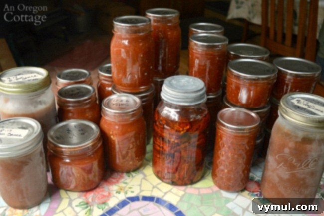 Tomato Recipes-60 pounds canned frozen and dried