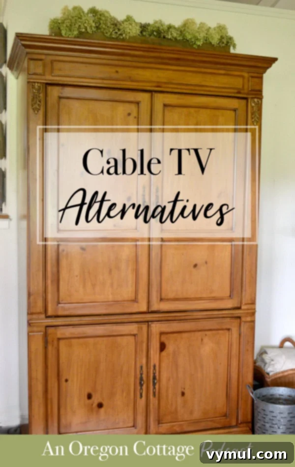 Join us as we talk about cutting the cord before it was cool, the cable TV alternatives we've tried -what worked & what didn't, plus watch party food ideas.