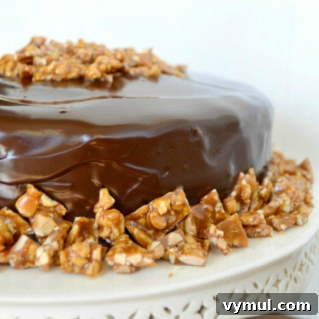 Ep. 14: Bake It Easy: Simple Recipes, Super Results 4 Easy Baking-Peanut Butter Celebration Cake