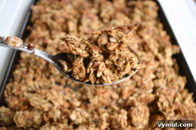 The Power of Goals: Make This Your Best Year Ever 4 Healthy & Quick Maple-Honey Granola