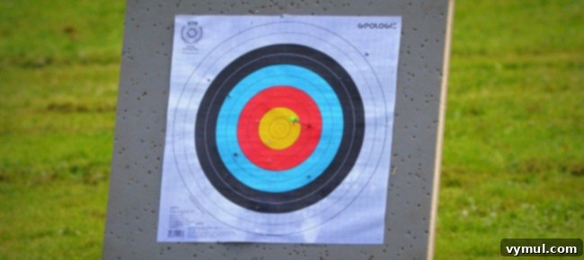 My 2018 Goals Word of the Year and 2017 Reflections 3 Goals Bullseye: Targeting Personal and Professional Objectives