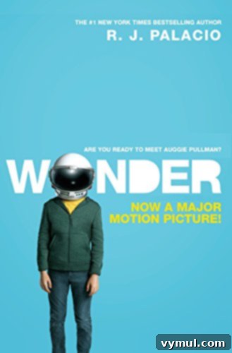 My Top 13 Reads of 2017 A Year in Books 4 Wonder by R.J. Palacio