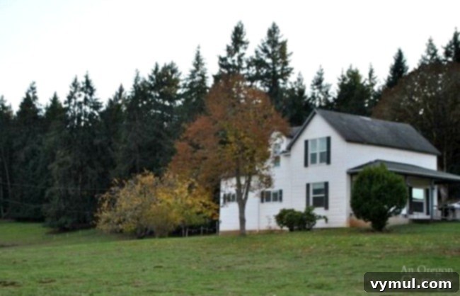 Podcast Ep. 21: Deep Dive with The Farmhouse Fixer 4 The Farmhouse Fixer side