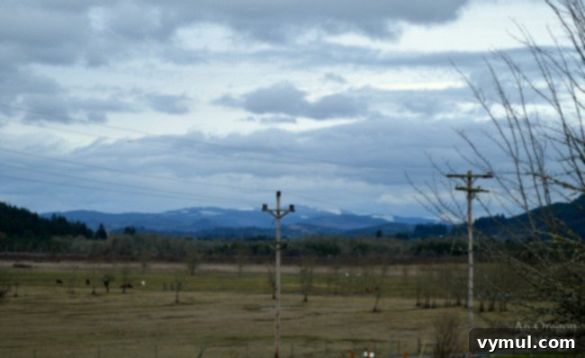 Episode 23: Farmhouse Fixer - An Exclusive Inside Look 3 Farmhouse Fixer Details-snow capped hills veiw from porch