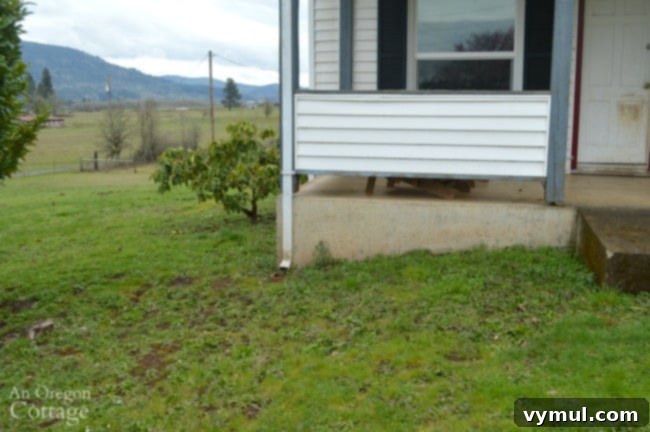 Farmhouse Fixer: Our Yard's Raw Potential Unveiled 3 Farmhouse Fixer Yard Tour Before-front porch left