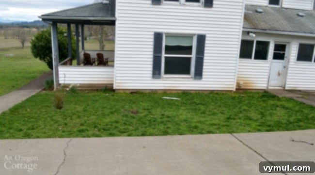 Farmhouse Fixer: Our Yard's Raw Potential Unveiled 4 Farmhouse Fixer Yard Tour Before-future herb-flower garden