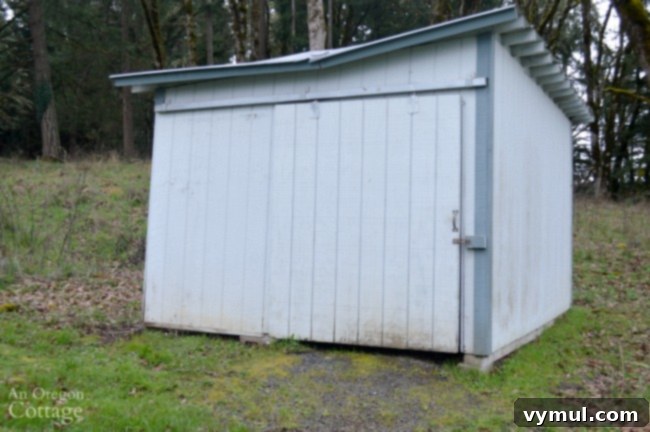 Farmhouse Fixer: Our Yard's Raw Potential Unveiled 7 Farmhouse Fixer Yard Tour Before-small shed