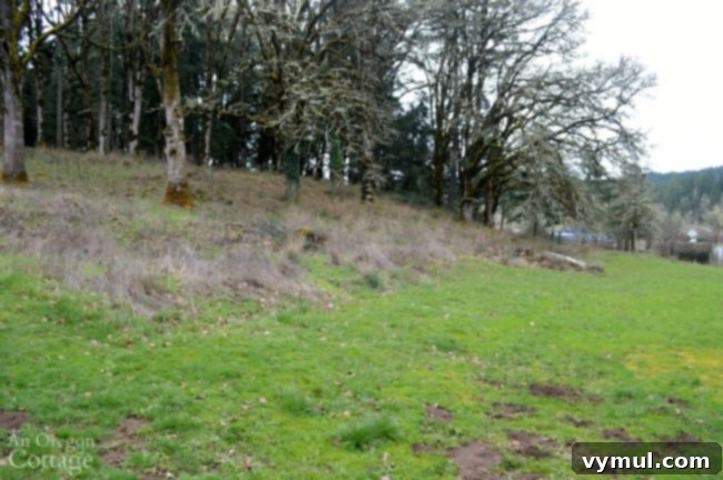 Farmhouse Fixer: Our Yard's Raw Potential Unveiled 8 Farmhouse Fixer Yard Tour Before-oak woods