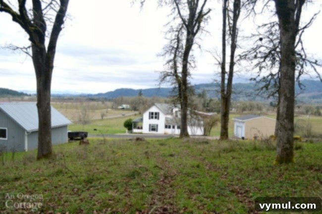 Farmhouse Fixer: Our Yard's Raw Potential Unveiled 9 Farmhouse Fixer Yard Tour Before-view of farmhouse from woods