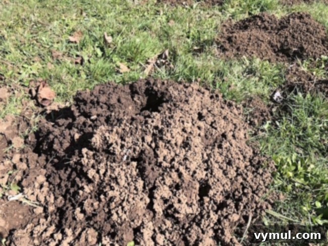 Episode 28 First Update Ever 3 A large gopher mound on a grassy hill, symbolizing persistent pest problems on the new property.