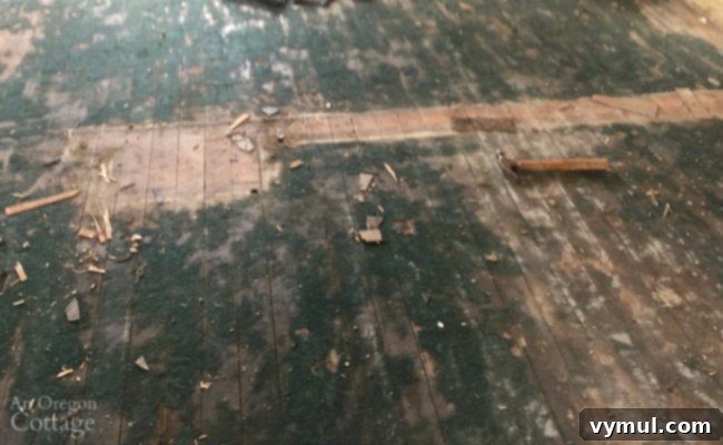 Episode 28 First Update Ever 4 Old farmhouse wood floors partially covered in a green felt-like residue, showcasing the restoration process.