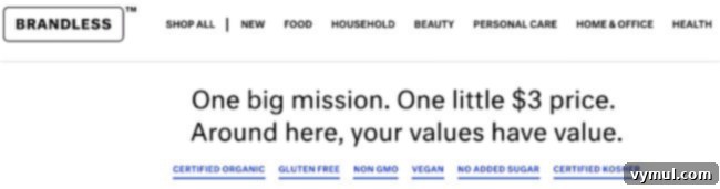 Episode 28 First Update Ever 6 The Brandless.com website homepage, featuring a clean design and organic product offerings.