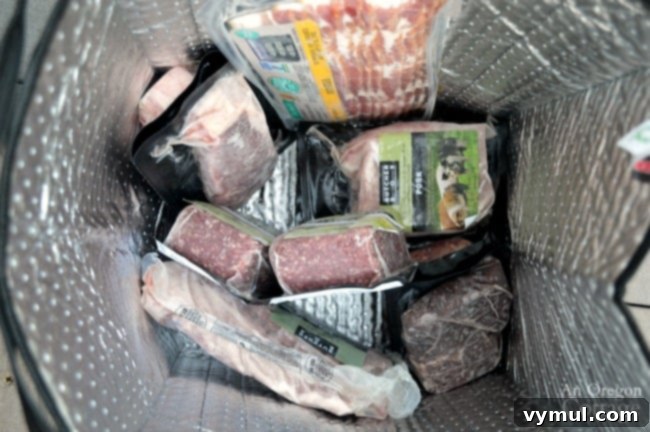 Episode 28 First Update Ever 7 A cold bag filled with frozen, individually packaged cuts of meat, demonstrating a typical ButcherBox delivery.