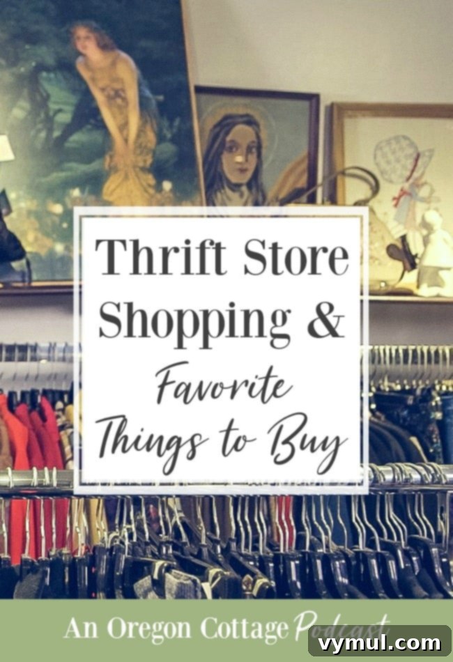 Thrift store shopping discussion