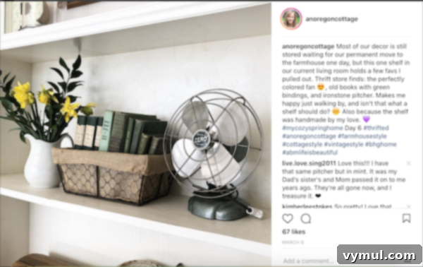 shelf with thrifted fan and books