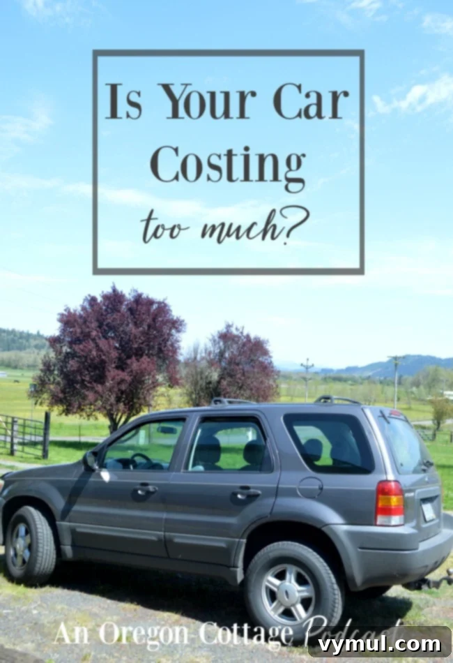 Is Your Car A Money Pit 2 Is your car costing too much? An image of a well-maintained 2004 used Ford Escape family car, symbolizing smart used car ownership and financial freedom.