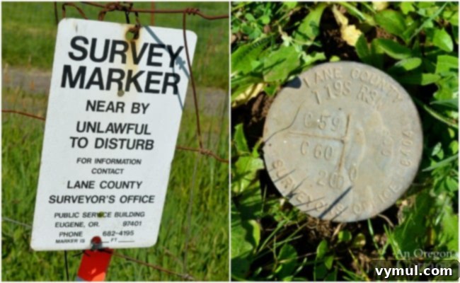 Is Your Car A Money Pit 4 1855 Survey Marker on a farmhouse property, highlighting historical land boundaries.