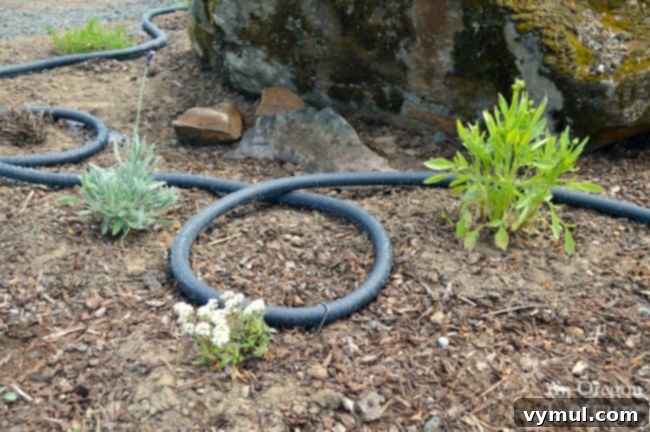 Garden Watering Tips-soaker hose flower bed