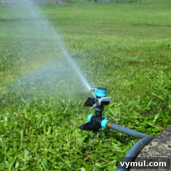 Yard and Garden Watering Tips-watering lawn