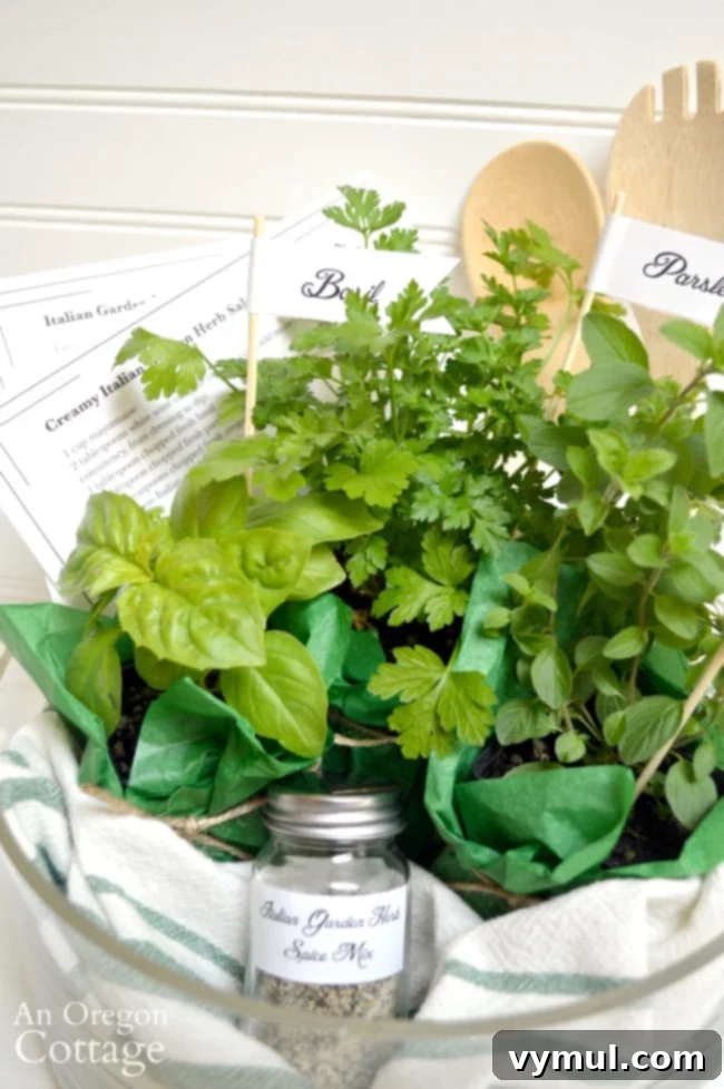 Homemade Italian Herb Dressing Gift Kit with Printable Labels 3 Herbs and supplies to make a salad dressing gift basket