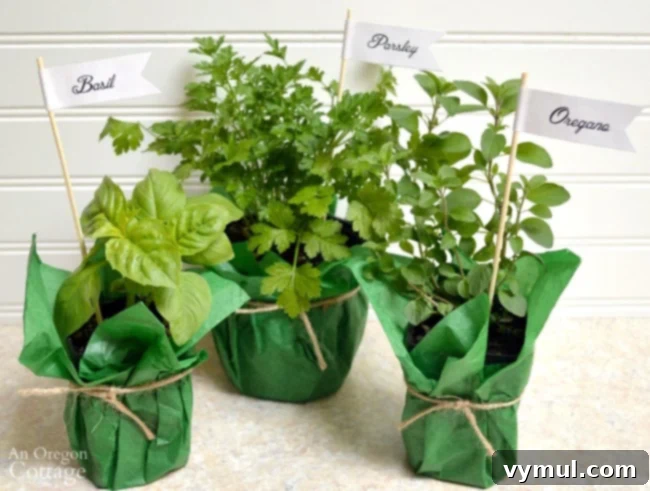 Homemade Italian Herb Dressing Gift Kit with Printable Labels 6 Herb Garden Dressing Gift Basket-wrapped herbs-labels