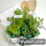 Homemade Italian Herb Dressing Gift Kit with Printable Labels 10 Italian Herb Garden Salad Dressing Gift Basket completed