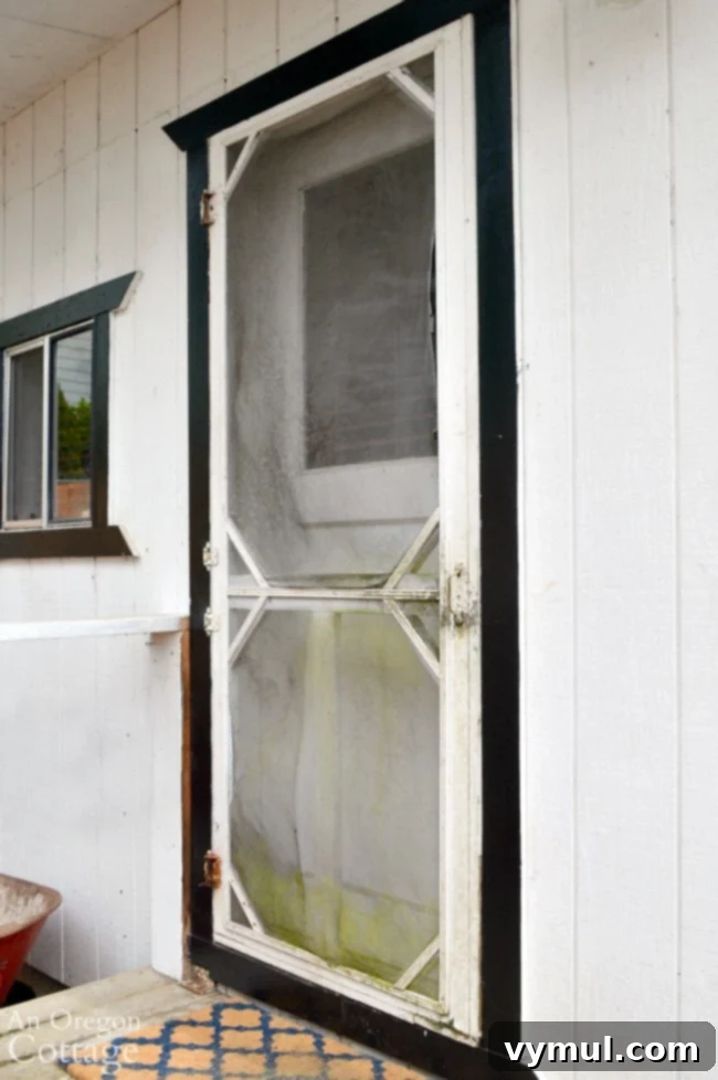 Revive Your Vintage Screen Door 3 vintage screen door before