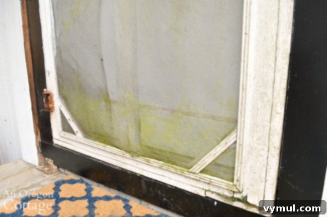 Revive Your Vintage Screen Door 4 Close-up of damaged screen