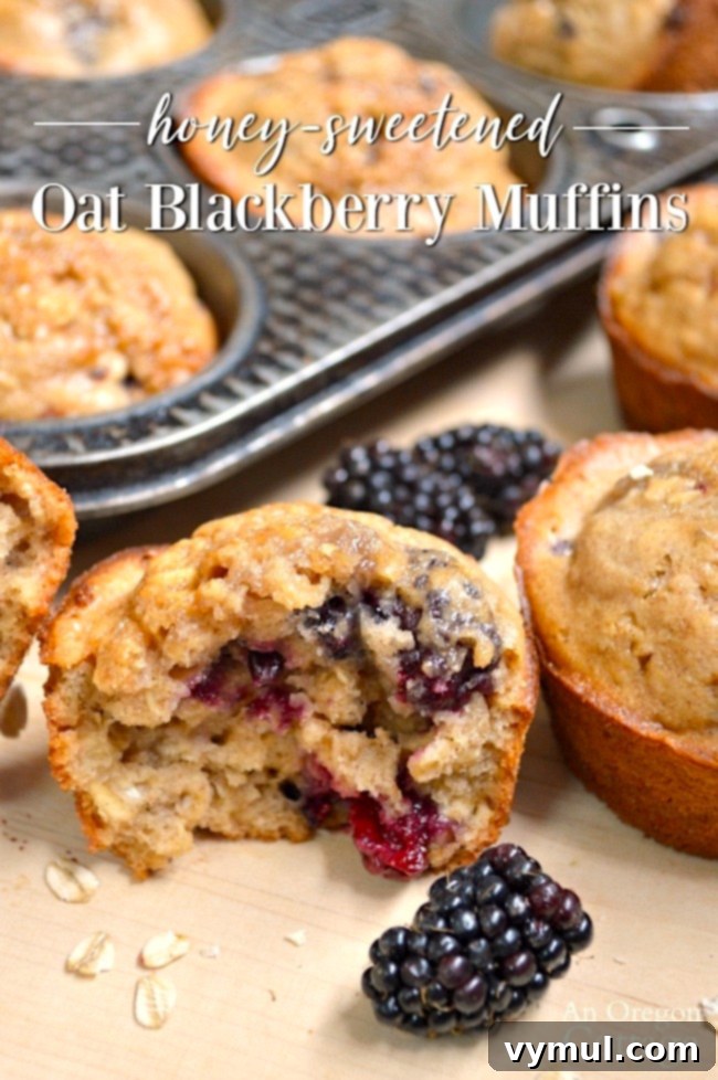 Honey-Kissed Blackberry Oat Muffins 2 Honey Sweetened Oat Blackberry Muffins