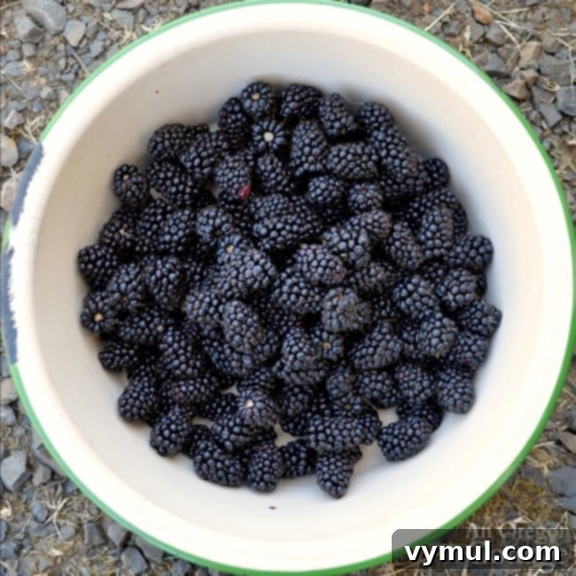 Honey-Kissed Blackberry Oat Muffins 3 Gluten-Free Oat Flour Blackberry Muffins
