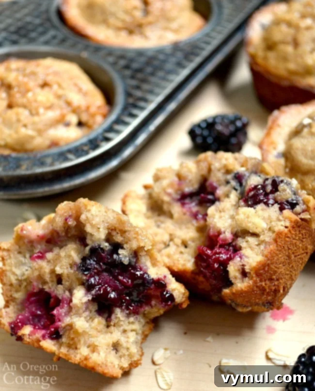 Honey-Kissed Blackberry Oat Muffins 7 Inside of Honey Oat Blackberry Muffins
