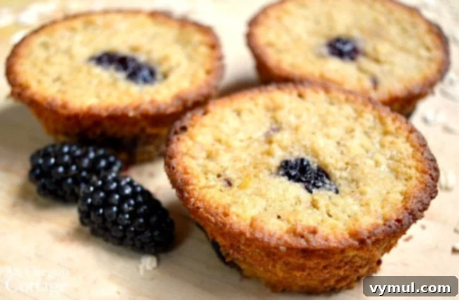 Honey-Kissed Blackberry Oat Muffins 8 Gluten-Free Oat Flour Blackberry Muffins