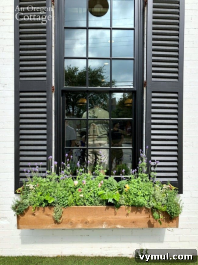 Black framed window with white shutters and a wooden window box filled with plants at the Silos Baking Co. in Magnolia Marketplace, Waco.