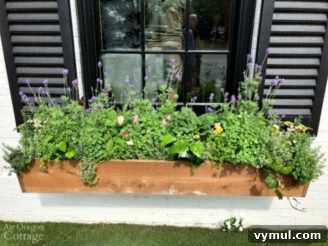 Spring garden ideas-Window box planter full of flowering plants.