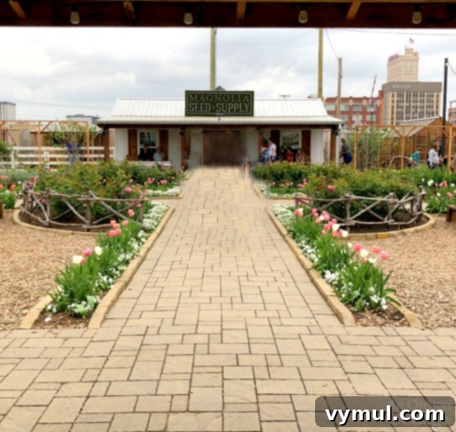 Spring garden ideas-Garden path to Magnolia Seed and Supply