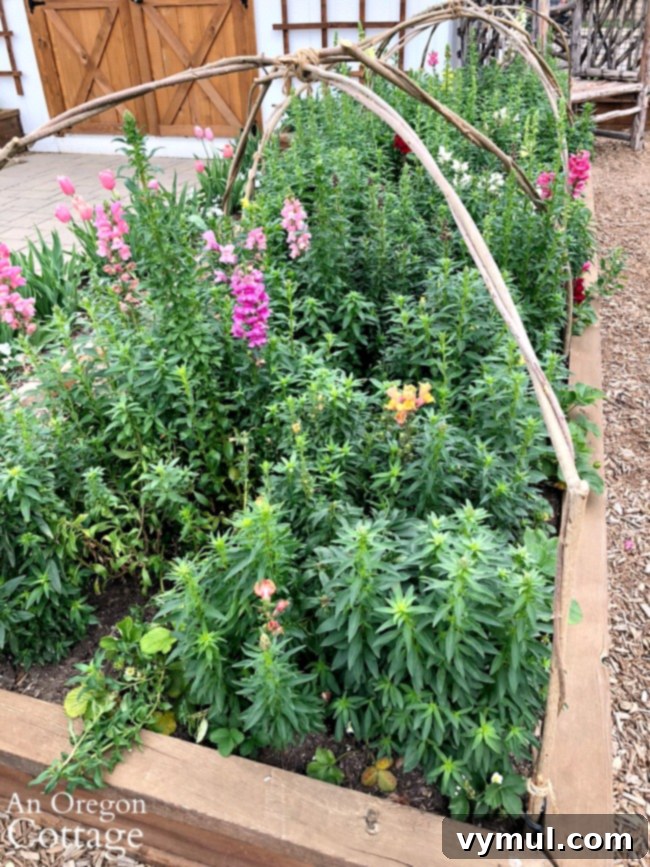Spring garden ideas-Raised flower bed with snapdragons
