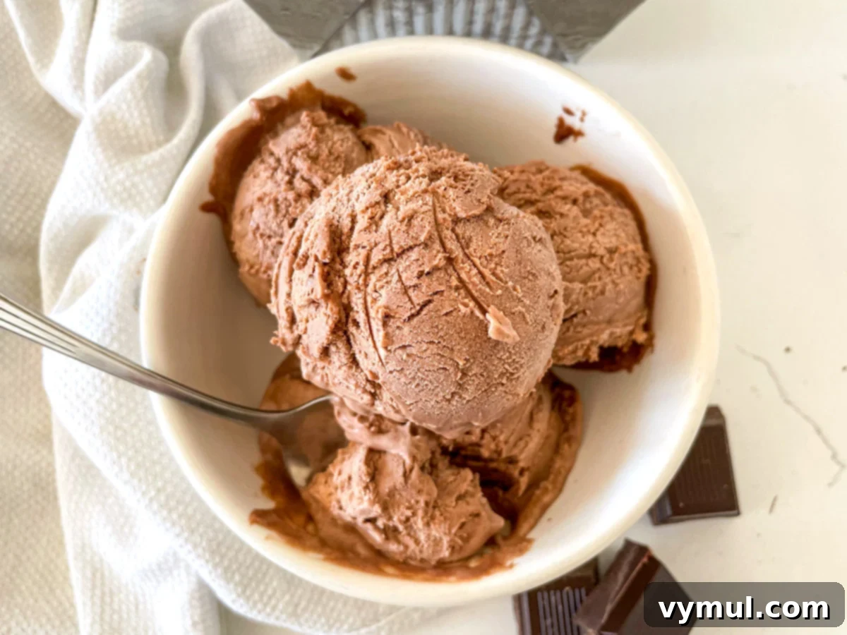 16 Wholesome & Easy Desserts: Six Ingredients or Fewer 10 chocolate no churn ice cream in white bowl above