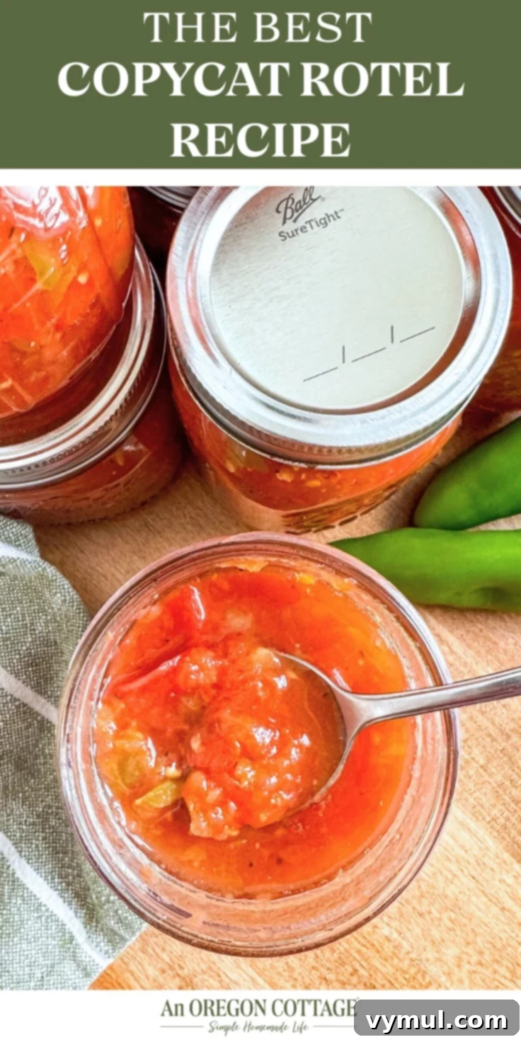 Homemade Rotel-Style Tomato and Green Chili Mix 13 Rotel recipe Pinterest pin image