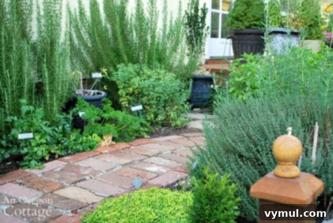 Crafting an Outdoor Oasis Four Rooms from a Single Rotten Deck 9 Inviting Kitchen Herb Garden in Backyard Makeover
