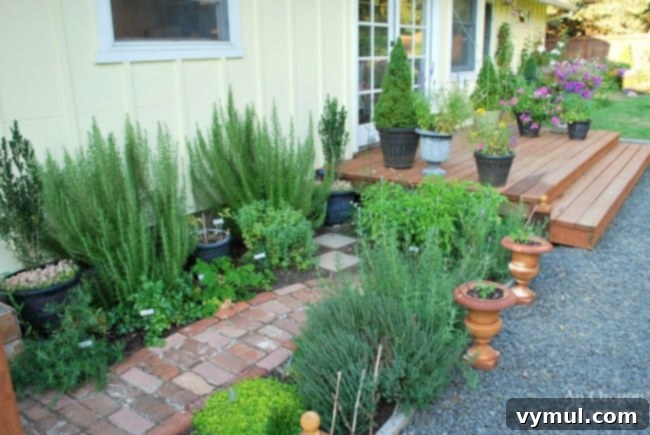 Crafting an Outdoor Oasis Four Rooms from a Single Rotten Deck 10 Welcoming Backyard Entry Deck After Makeover