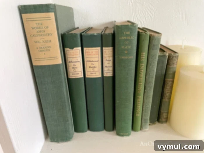 10 Hidden Gems Savvy Thrifters Always Hunt For 5 green thrifted books on white shelf