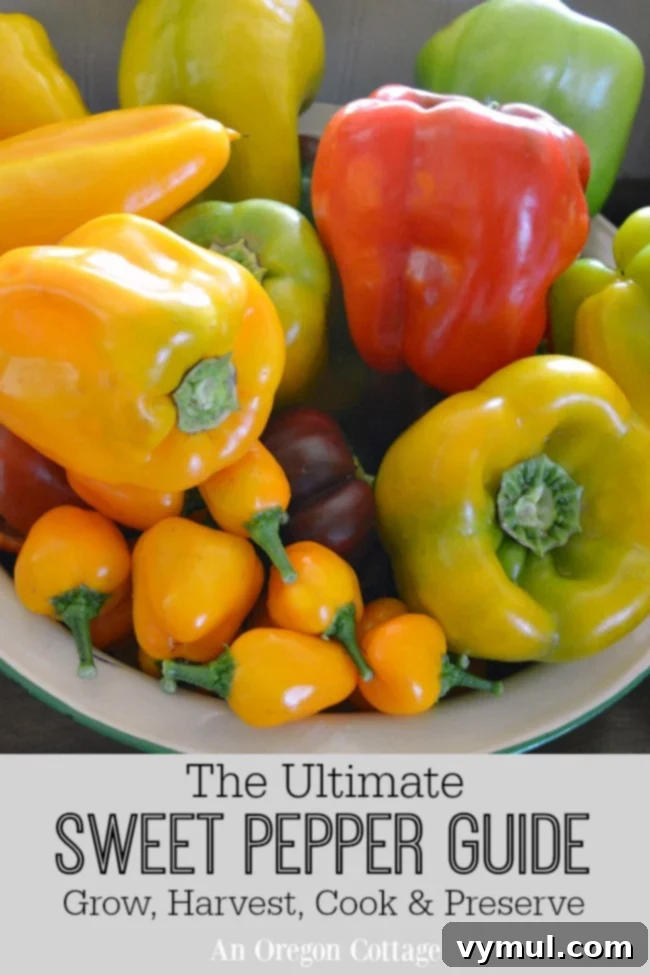 Tatlı Biber Rehberi: Yetiştirmeden Saklamaya Tüm Sırlar 2 Ultimate Sweet Pepper Guide: Grow, Harvest, Cook, Preserve